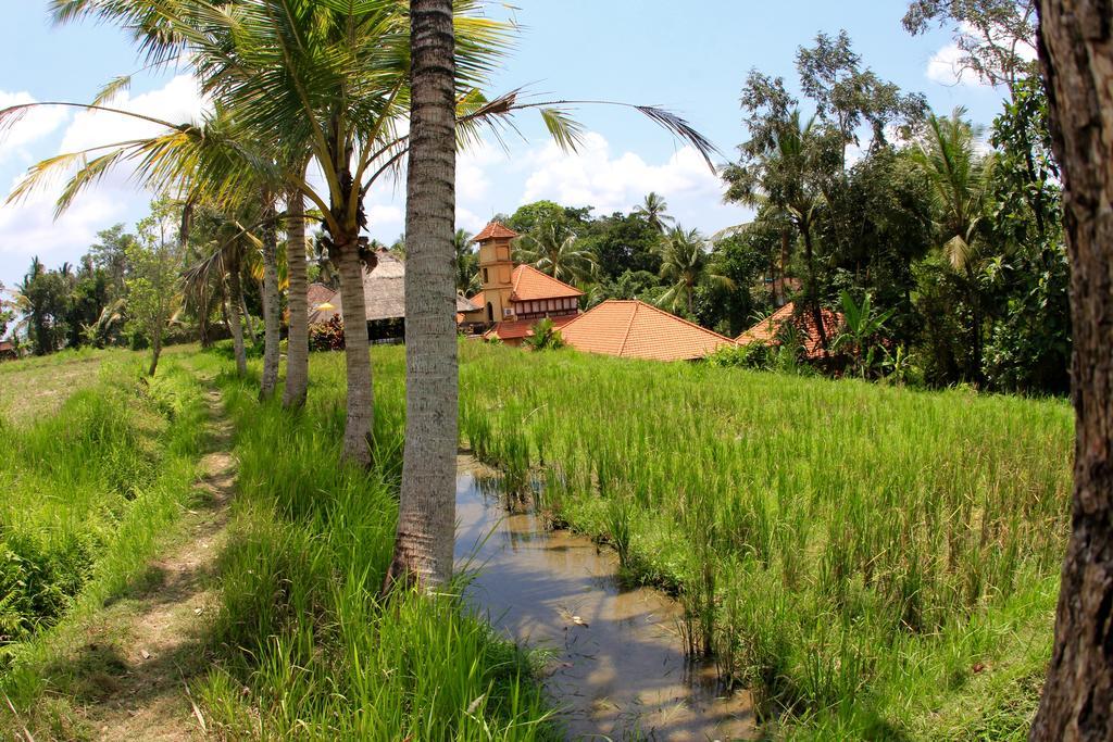 Hotel Villa Ubud المظهر الخارجي الصورة